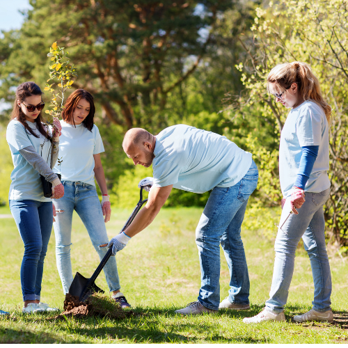 volunteers planting a tree