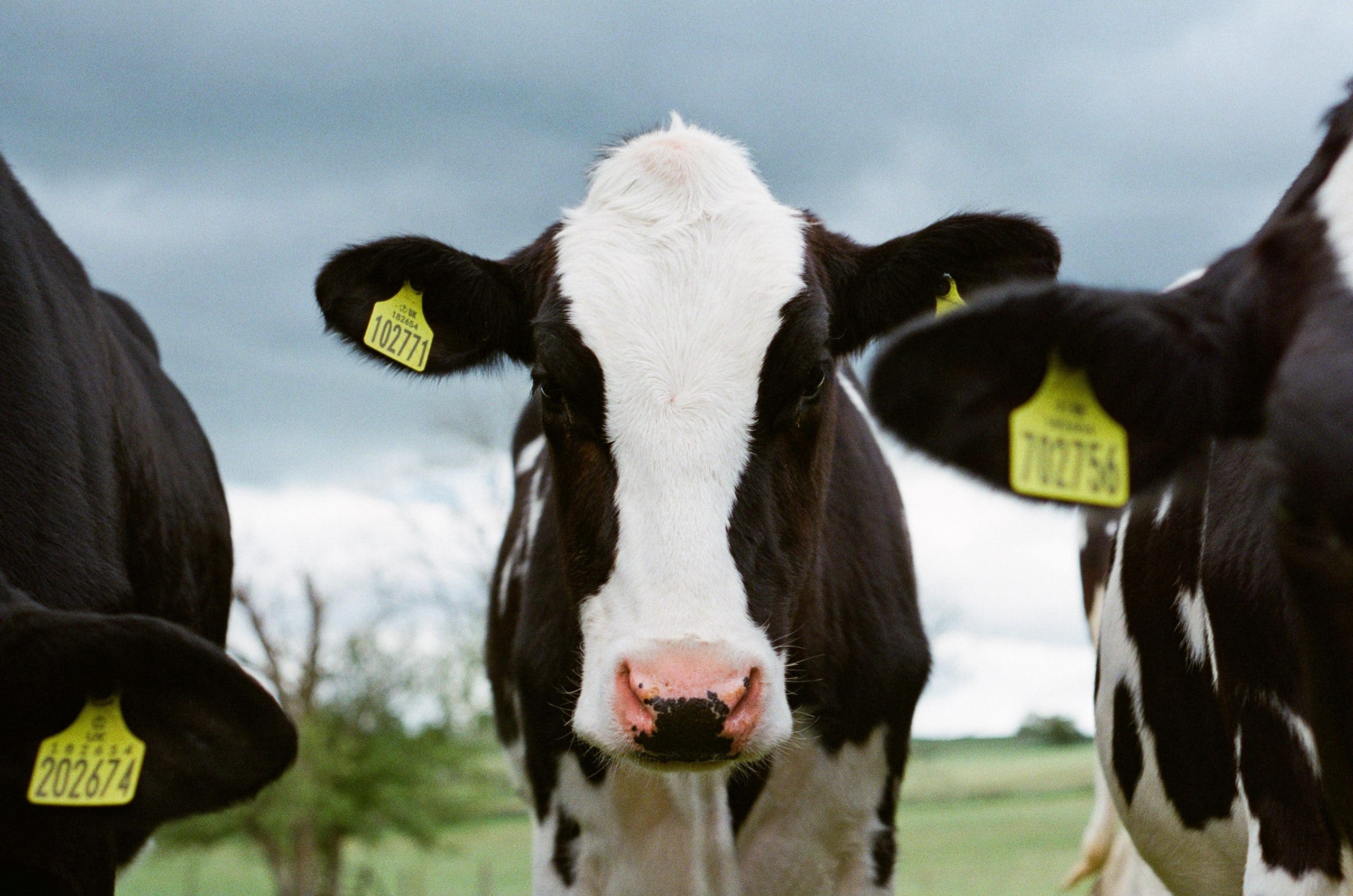 Food Industry Changes – a Long Time Coming