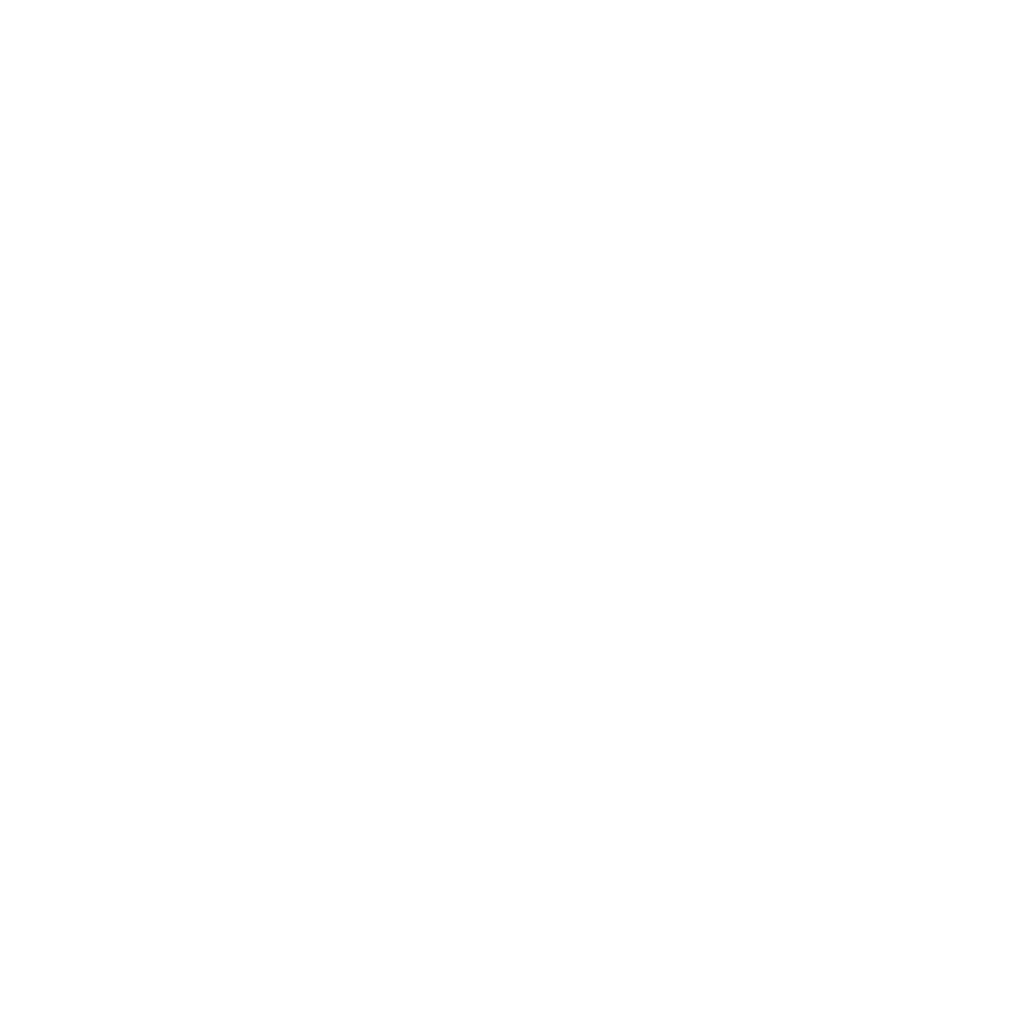 Velocity global logo