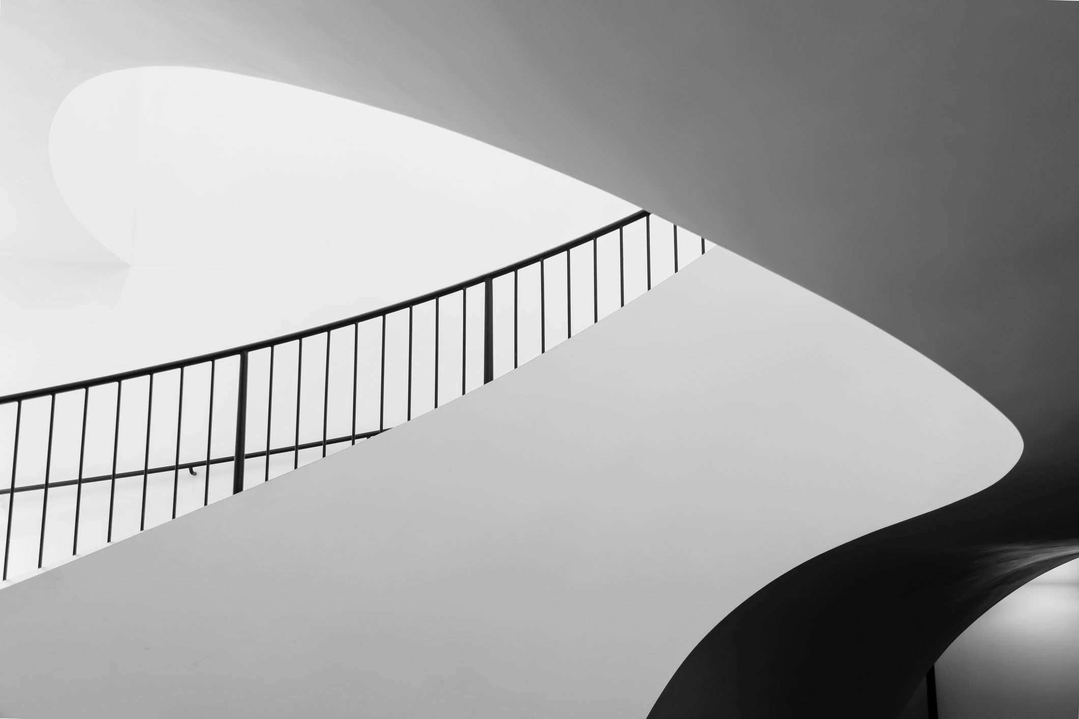 Stepping into 2026: What’s Next According to our Investors