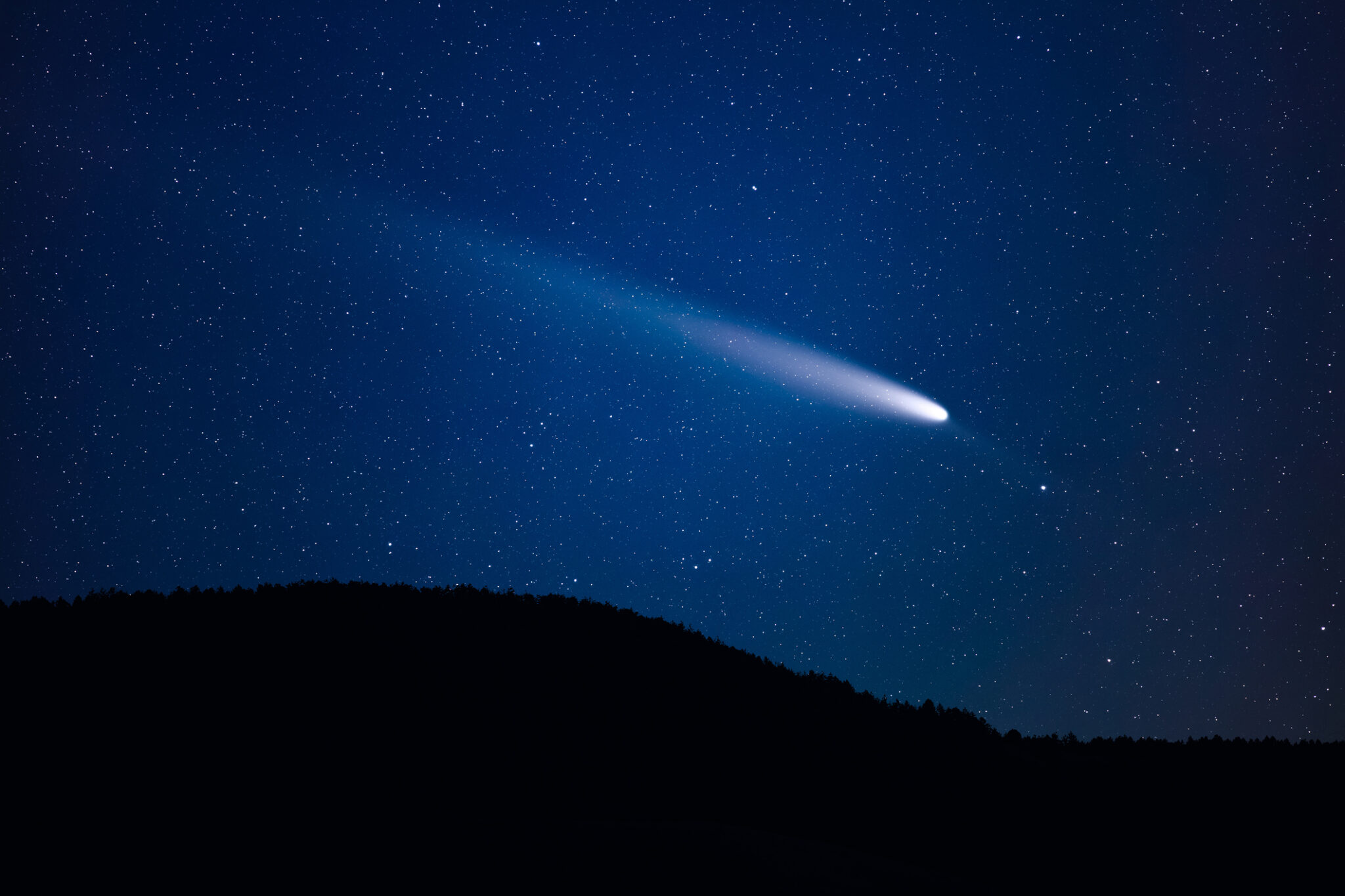 Milky Way stars with meteor shower trails and countryside tree silhouettes.